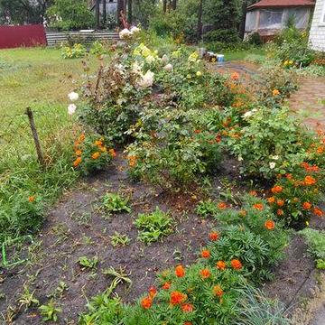 Продаж будинку у близкому пригороді!