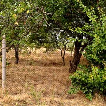 Продам дачу, участок в СТ Зайчевське