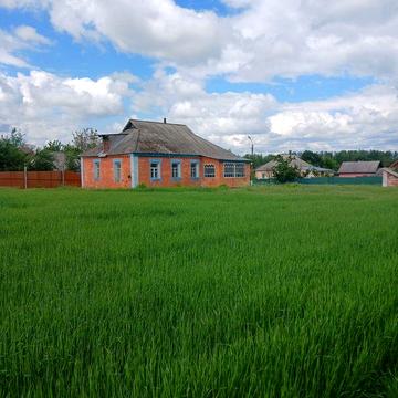 Будиночок під відновлення.