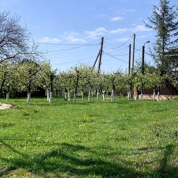 Продаж 6к Дім Лісова вулиця