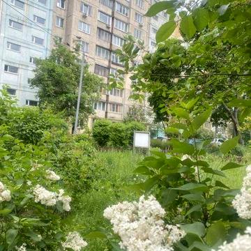 Київ, м. Лівобережна. 70м2 під ремонт. БЕЗ комісії