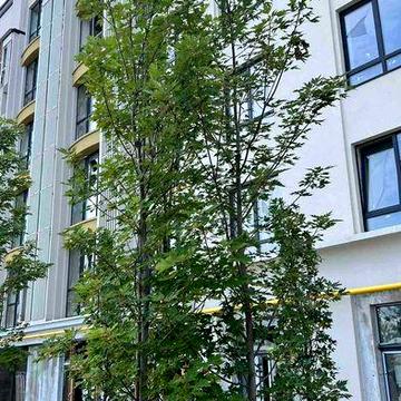 ШОК ЦЕНА, новая квартира в Ирпене за 21000$