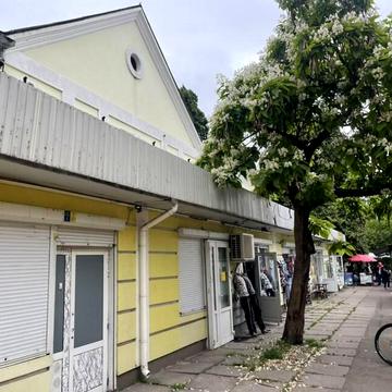 Шевченка бульв., 341