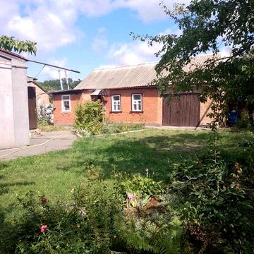 Задам 2 кімнатну квартиру