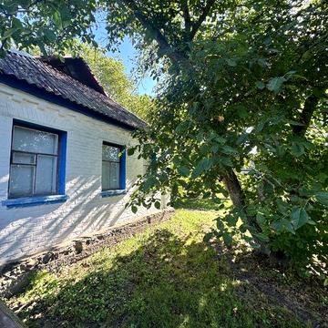 Продається будинок в селі Дитятки від власника