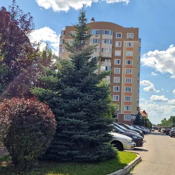 Тараса Шевченка бульв., 1