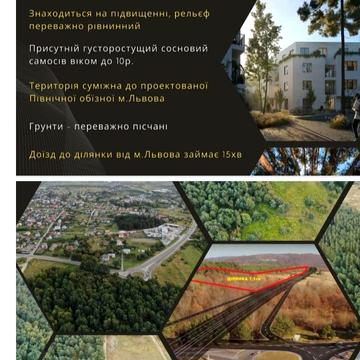 Львівська