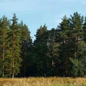 Продам дачу в Терновой Чугуевского района