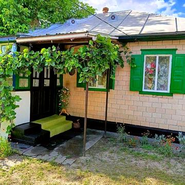 Продається будинок в селі Яснозіря