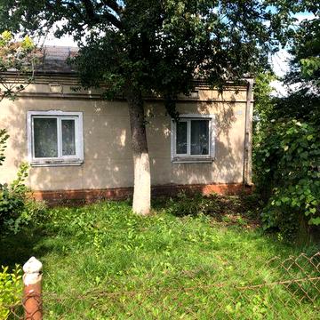 Оренда невеликого будинку у с. Великі Грибовичі