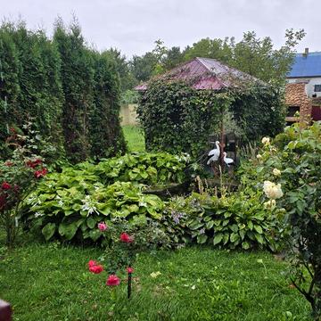 Продам будинок  + участок для ще одного..чудове місце))