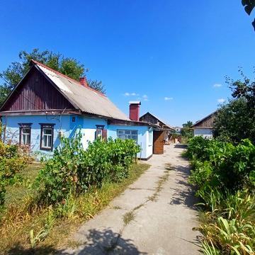 Виноградна