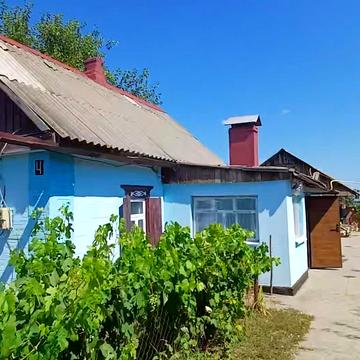 Виноградна