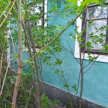 Продаеться 3 кімнатний будинок