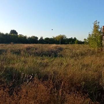 Продам будинок в с. Хацьки