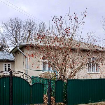данила галицького, 19