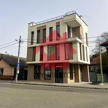 Олександра Митрака вул., 13