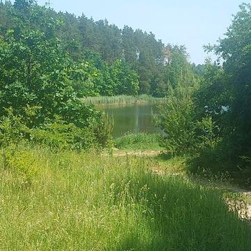 Антоновича Професора вул.