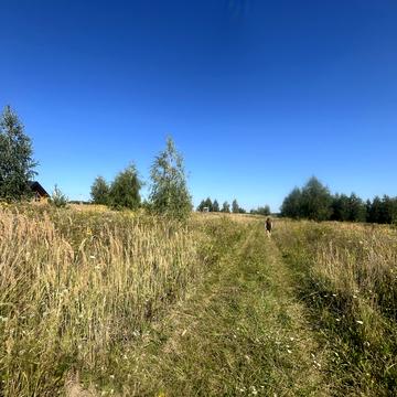 Лісові Гринівці, Хмельницький, Хмельницька область 10000.0 USD