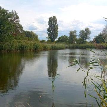 Продам дачу в садовому товаристві с. Червона Слобода