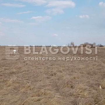 Гоголів, Броварський, Київська область 12000.0 USD