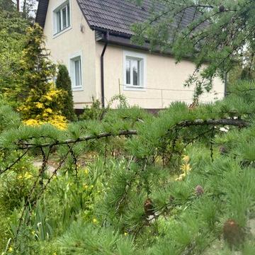 Будинок біля лісу. 10 хвидин від Ірпеня