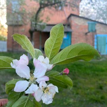 Будинок для житла , в Полтавській обл