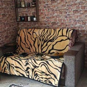 Продам будинок в центрі