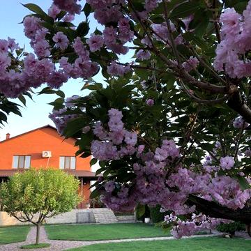 Продам шикарний будинок в передмісті.