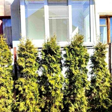 Оренда 4х кімнатной квартири район Кемпінга