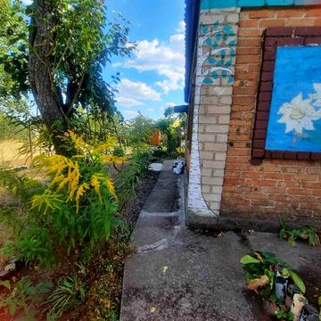 Дача приватизована в центрі міста Мопр