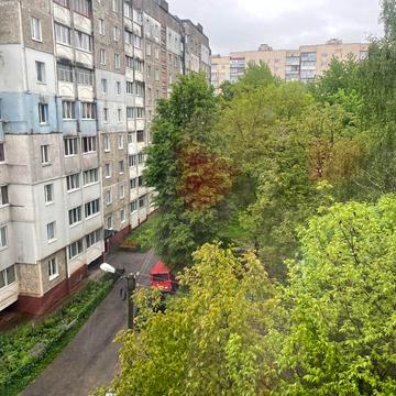 Панаса Мирного вул., 24