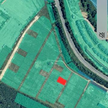 Михайла Зорія