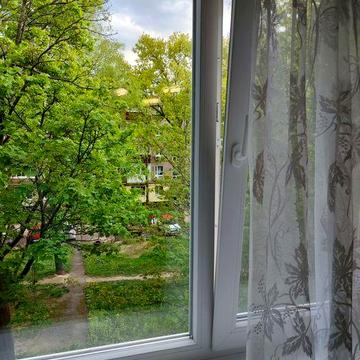 Власник Оренда 2 кв. по кільцю, біля "Сільпо" Алмазний