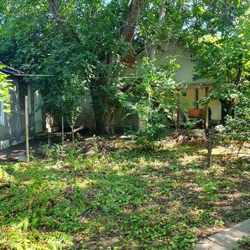 Дачний пров.