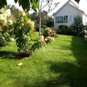 Будинок в центрі міста. Район вулиці Київська.