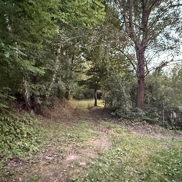 Липники, Львівський, Львівська область 6000.0 USD