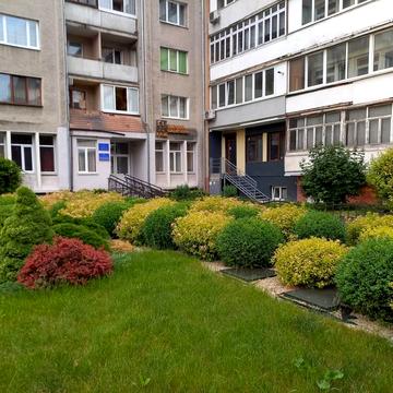 Вагелевича, 3