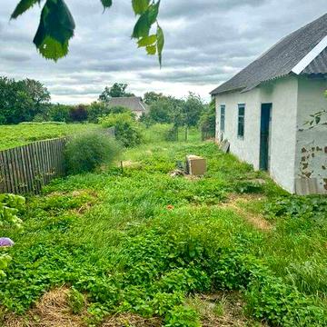 Будинок  / с.Щербаки / 13 сот