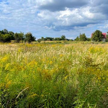 Продається Будинок, Гостролуччя з ділянкою 62 сотки