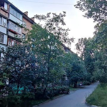 Івана Дзюби вул. (Сімї Сосніних), 8