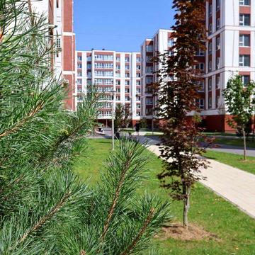 1-кімнатна по вул.Коновальця, 10 хв до Центру міста