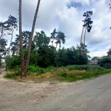 Північний пров.