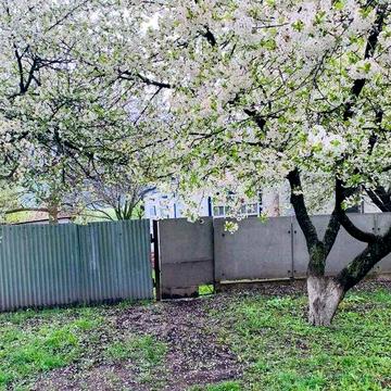 Продам будинок в м. Заводське Полтавської обл.