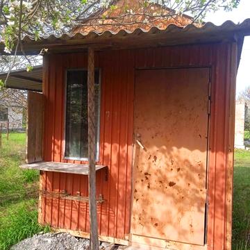 Чайка