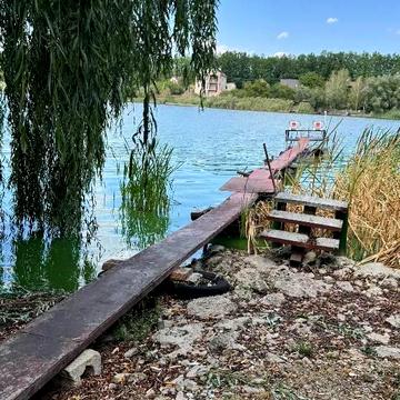 Вишнева
