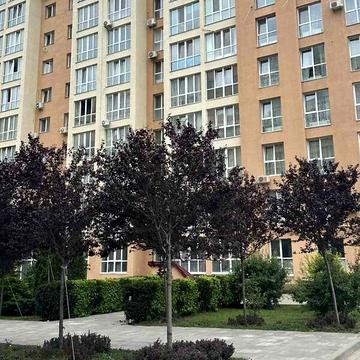 Продаж 2к Квартира Героїв Небесної Сотні проспект