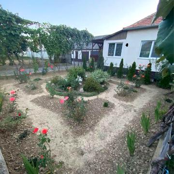 Продам будинок у передмісьті Берегова