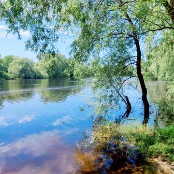 Продам дачу терміново Рожни кооператив Трудовик.