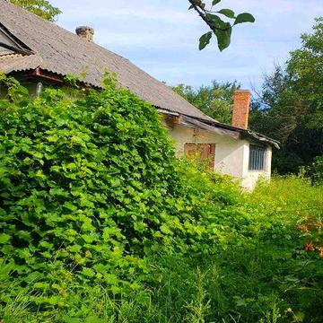 Будинок в  с.Секунь